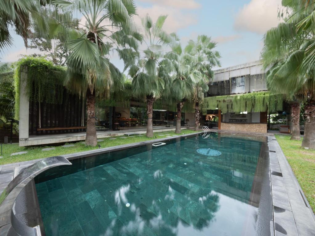 Villa pool surrounded by palms